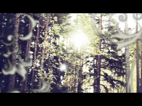 Vilda - Paradisfabriken *Official video*