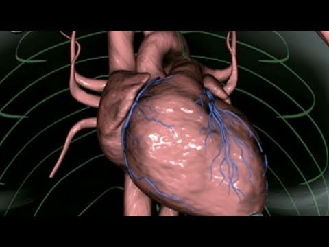 Hot Flashes and Your Heart 2/25/2011