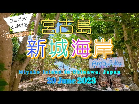 [Miyakojima] 2023/06/29 Costa Shinshiro [Nadar com tartarugas marinhas] Snorkeling [Okinawa]
