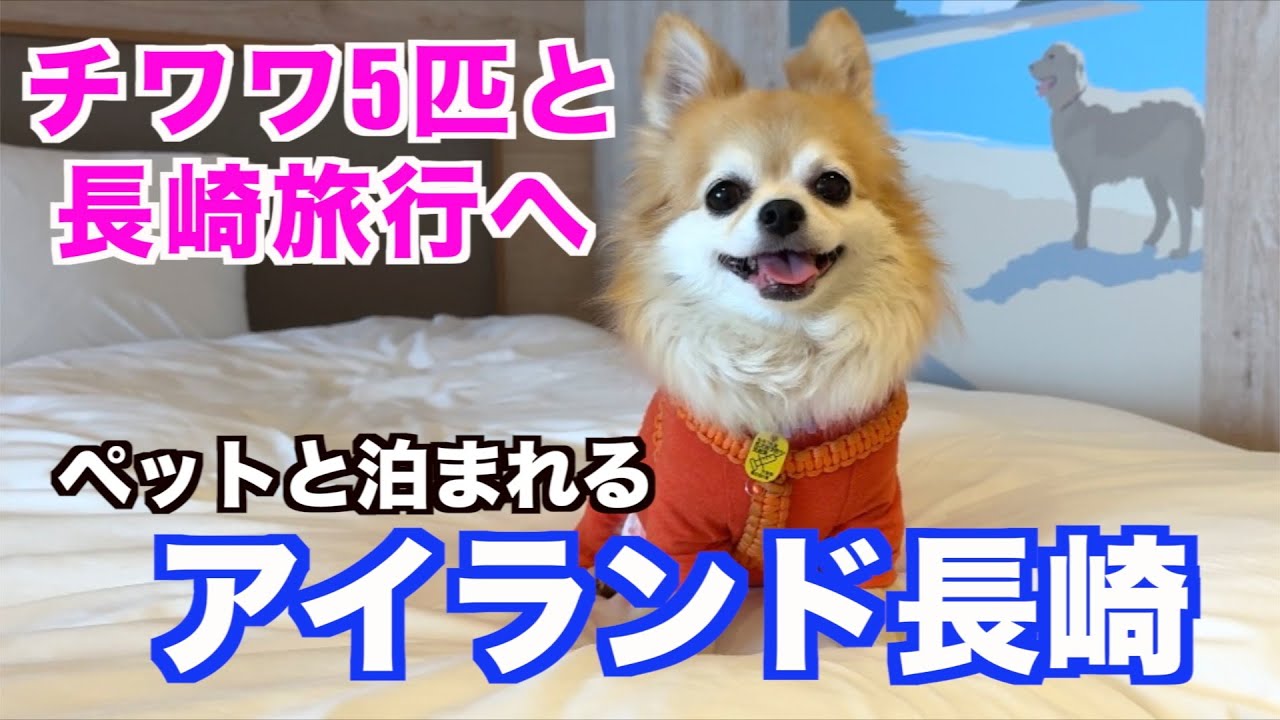 【ペットと泊まれる】多頭飼いでも大歓迎♪アイランド長崎が最高だった！