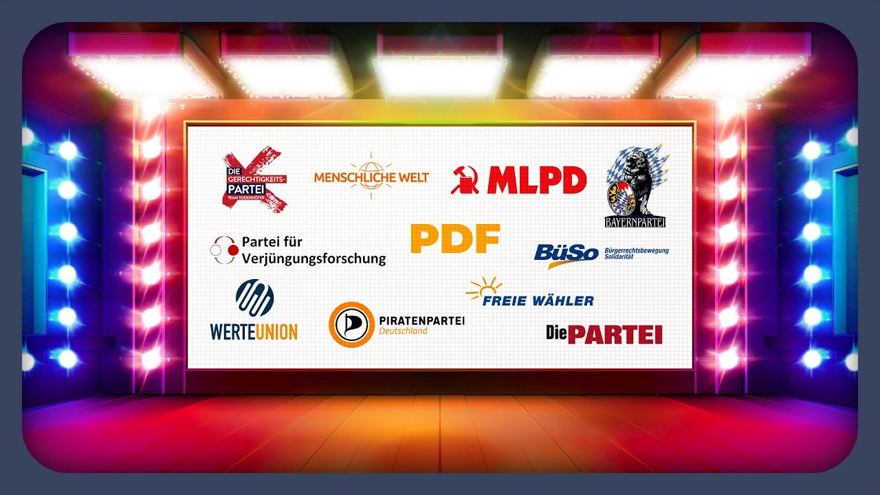 Die Wahlprogramme der kleineren Parteien erklärt | Bundestagswahl 2025