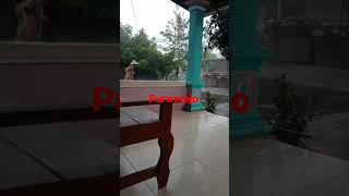 Download lagu Purworejo Jawa tengah hujan deras dan angin #shorts mp3