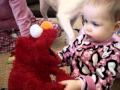 Mila Christmas Elmo MPG