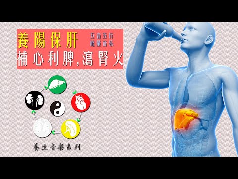 肝屬木