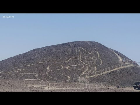 Trending | 2,000-year-old cat figure discovered in Peru