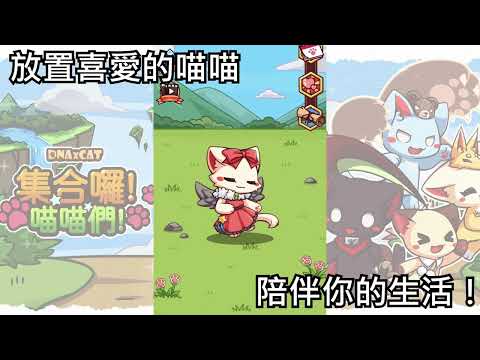 集合囉！喵喵們！