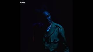 TYLER THE CREATOR  LIKE HIM LIVE