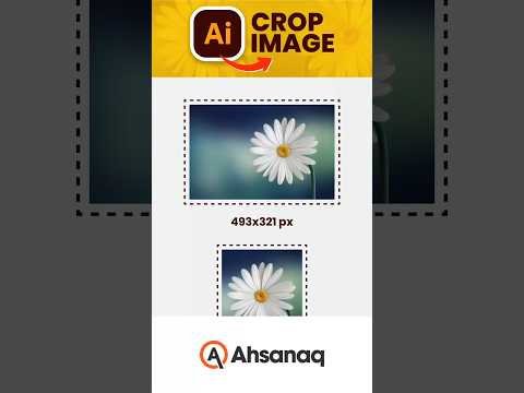 Vector Logo Illustrator Tutorial graphicdesign