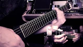 Blessthefall - &#39;Wishful Sinking&#39; - Guitar Cover HD