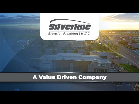 Silverline: A Value Driven Company
