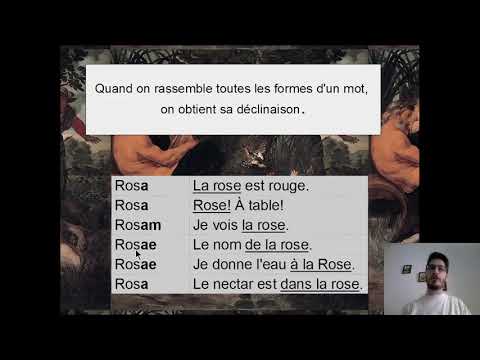 Initiation au latin I Découverte de la langue