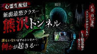 【別視点】心霊スポット 生配信では気づかなかった映像｜新潟・熊沢トンネル【心霊検証】