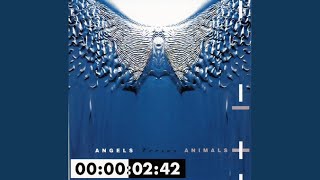 Angel (Wipe out)
