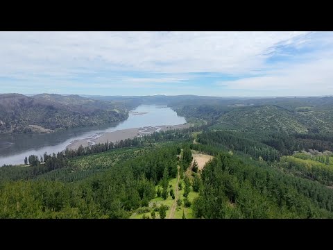 Desafio Centinela - San Rosendo 🏃‍♂️⛰️🇨🇱
