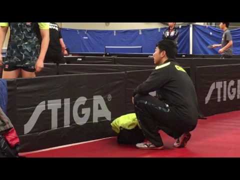 Table Tennis Training Hall Stockholm 18/11/2016 18.02 Koki Niwa / Wang CQ / Kenta Matsudaira / Zhou