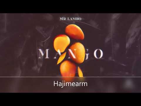 Mr Lambo - Mango (Karaoke,minus)