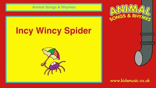Kidzone - Incy Wincy Spider