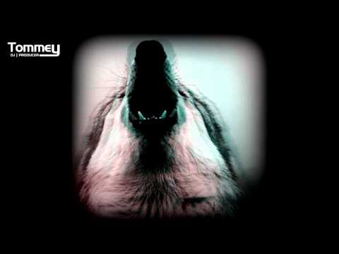 Martin Garrix vs. Bassjackers & MAKJ - Animals Reborn (Tommey Mashup)