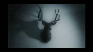 Bethlehem -  Vargtimmen. (Video Clip)