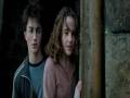 Harry Hermione The Day I Fall In Love