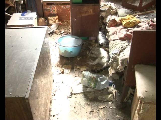 «Итоги недели» от 28.09.2013 г.