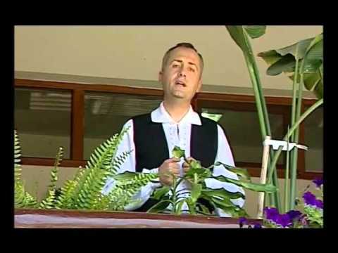 MIHAI GROSU "MAI CRESCUT MAMA DE MIC"ORCHESTRA MUGUREL dir.ION DASCAL