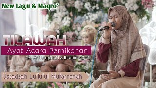 Download lagu Tilawah Ustadzah Luluk Bikin Hati Para Tamu Undangan Terenyuh😭😭 mp3 Download lagu Tilawah Ustadzah Luluk Bikin Hati Para Tamu Undangan Terenyuh😭😭 mp3