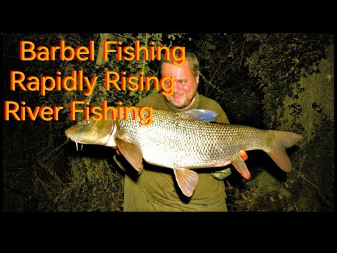 Barbel Fishing - Strategies During a Flood! Floodwater Fishing (Video 269)