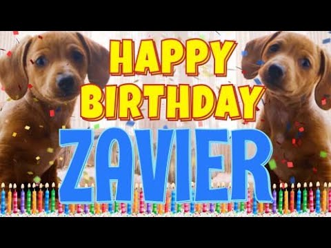 Happy Birthday Zavier! ( Funny Talking Dogs ) What Is Free On My Birthday