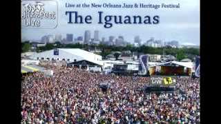 The Iguanas - Lo Ultimo - Live at the 2012 New Orleans Jazz and Heritage Festival