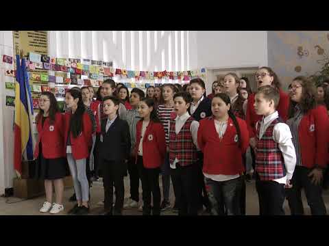 V CPVL, 8 martie 2019