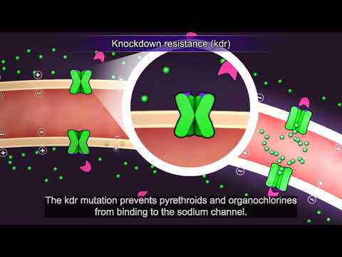 Resistance101 - Resistance mechanisms, Target site resistance