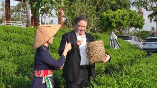 25 10 CLIP DAU TU PHUONG LINH