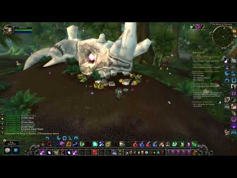 How to do The Bones of Nozronn quest - WoW WOTLK Classic