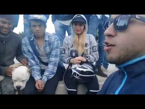 Parka vs Basstian21 - Shot Battles Ambato