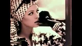 No Zipper - Ariel Pink/R. Stevie Moore