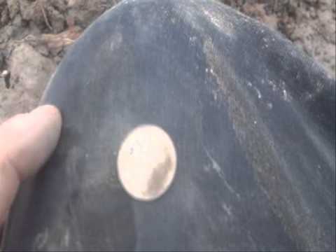 Moje Wykopki Odc. 155 (SE02 E55)