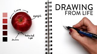 Master The Art Of Sketching And Painting From Real Life With These 5 Essential Tips!