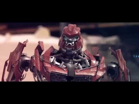 Touraj Parazit - Hame Chi Royayie (HD)