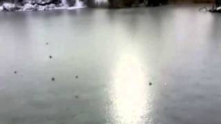preview picture of video 'Edirne meriç karayusuflu köyü yanıklık barajı av yaparken buz'a deneme atışı :)'