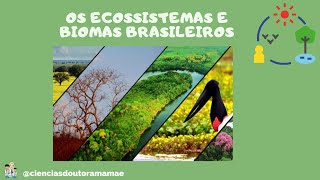 Ecossistemas e Biomas Brasileiros Ensino Fundamental