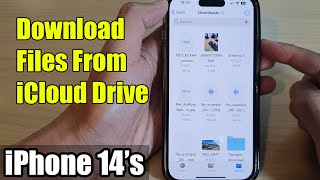iPhone 14/14 Pro Max: How to Download Files From iCloud Drive