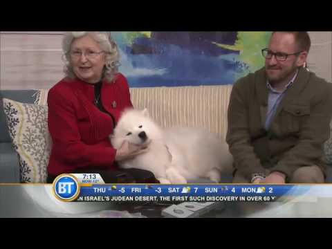 Inuk the American Eskimo Dog stops by!