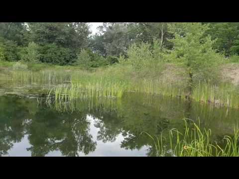 Peisaj superb în Județul Dâmbovița!