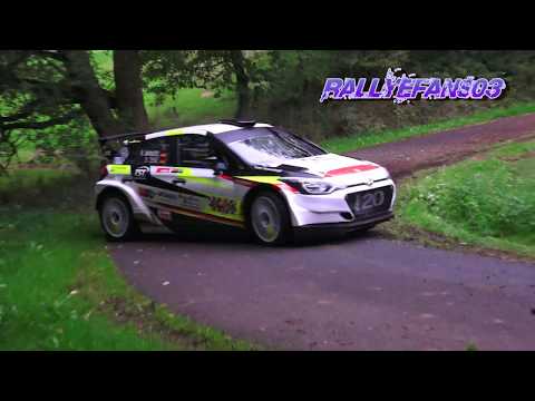 Best of German Rally Action Mistakes and More 2017