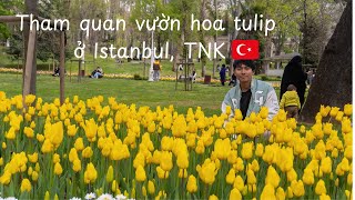 Lạc Lối Giữa Mùa Hoa Tulip Istanbul | Thiên Đường Sắc Màu Giữa Lòng Thổ Nhĩ Kỳ 🇹🇷🌷