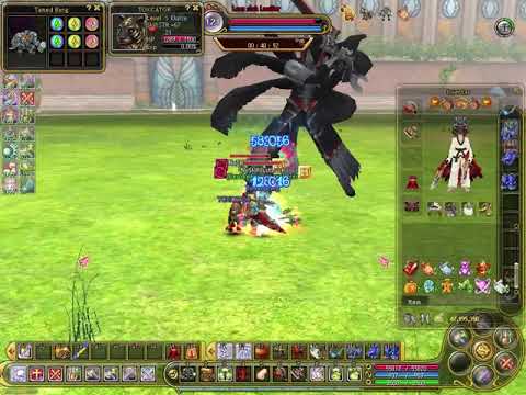 Let´s Play Flyff#05