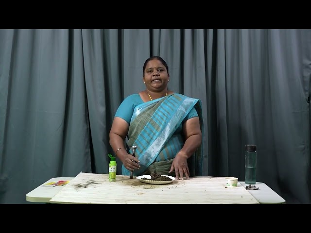 thumbnail of the course