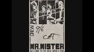 Mr. Mister ~ Live in Cincinnati 1986 - Part 1 (audio only)