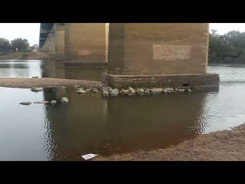 RIO OLIMAR CIUDAD DE TREITA Y TRES URUGUAY